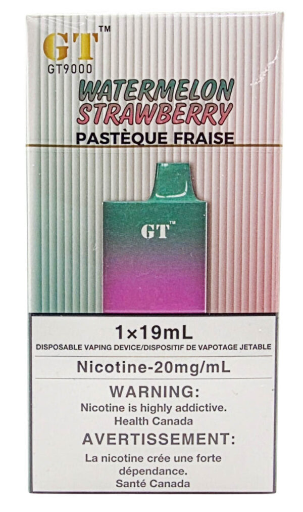 GT9000 - GT Vape